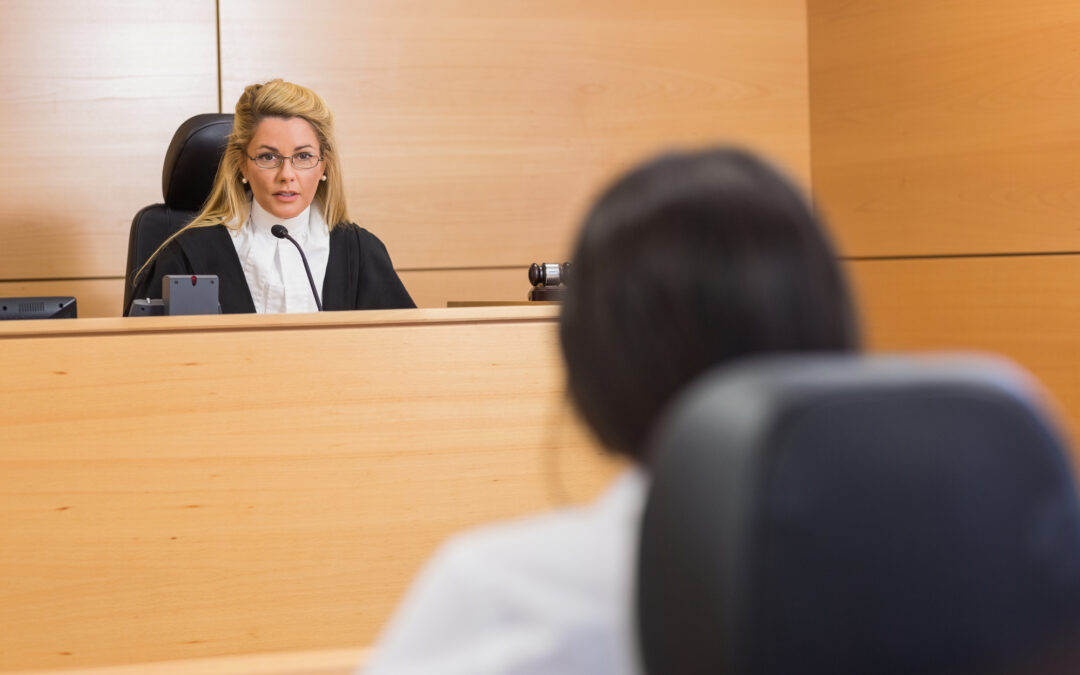 The Civil Trial Process